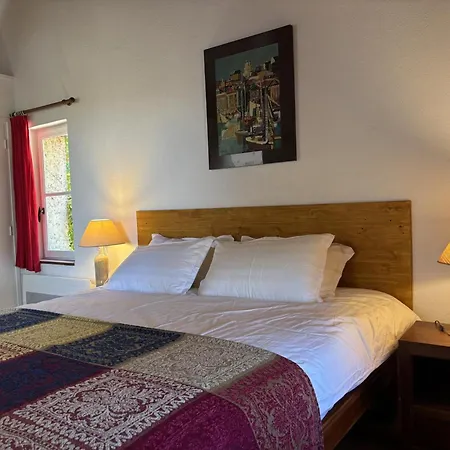 Maison Avec Animaux Admis - 10 Pers. - Fr-1-489-643
